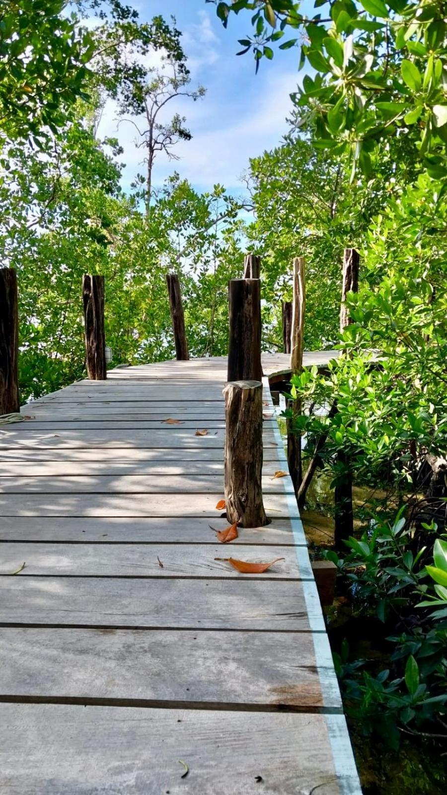 Villa Luzo & Tours Saonek Luaran gambar