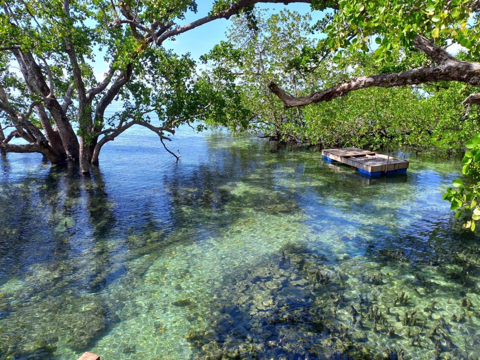 Villa Luzo & Tours Saonek Luaran gambar