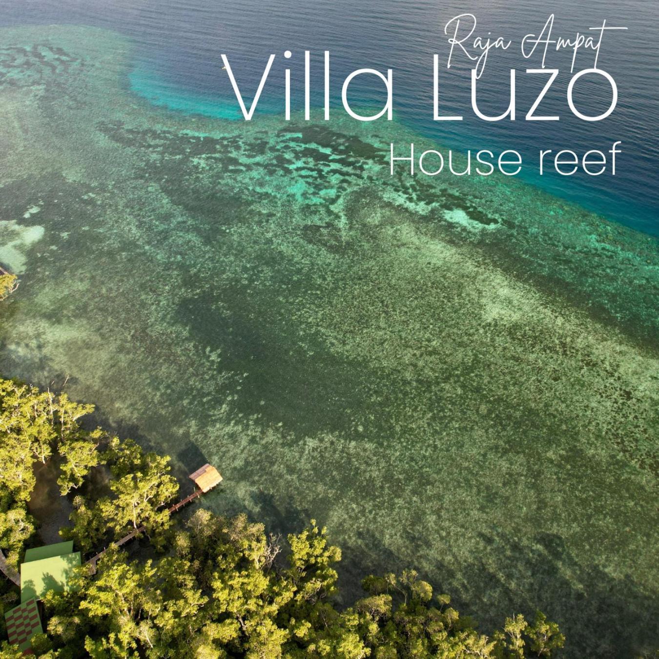 Villa Luzo & Tours Saonek Luaran gambar